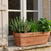 Jardinière en terre cuite garnie de thym, ciboulette et persil sur un rebord de fenêtre en pierre